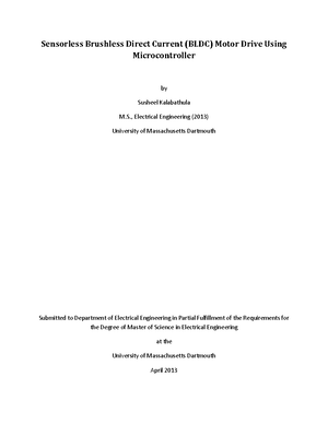 Thesis brushless motor picture