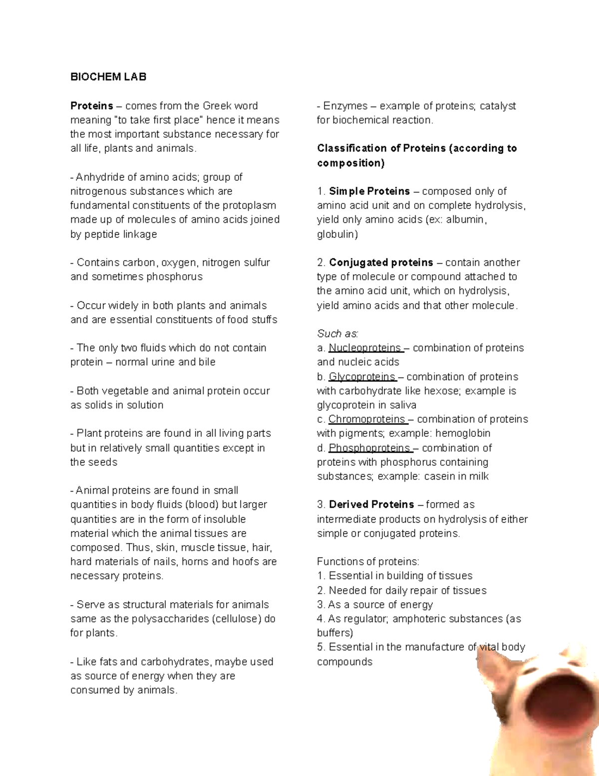 Proteins Reviewer BIOCHEM LAB Proteins comes from the Greek word