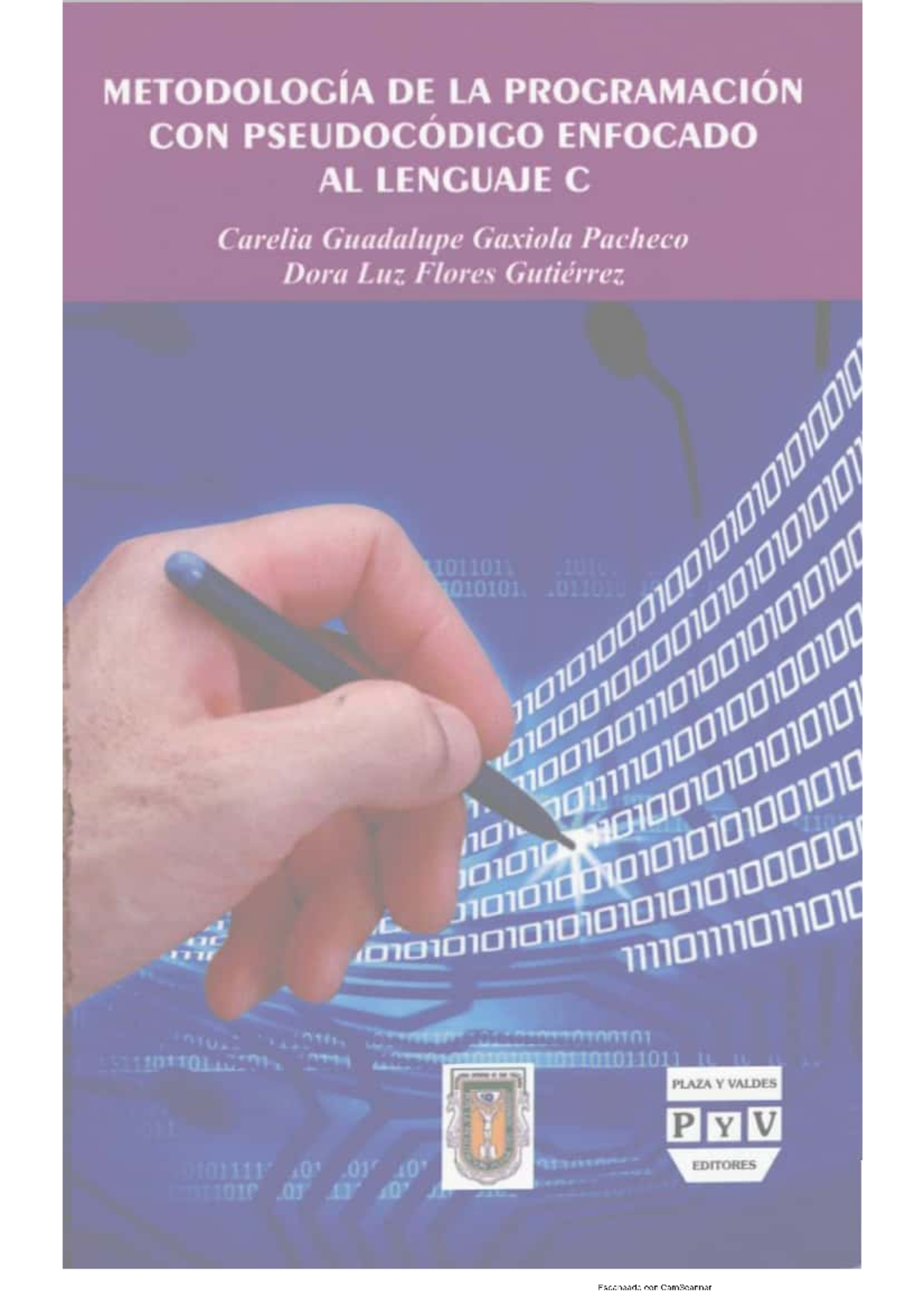 Metodología de la programación con pseudocódigo enfocado al lenguaje C ...