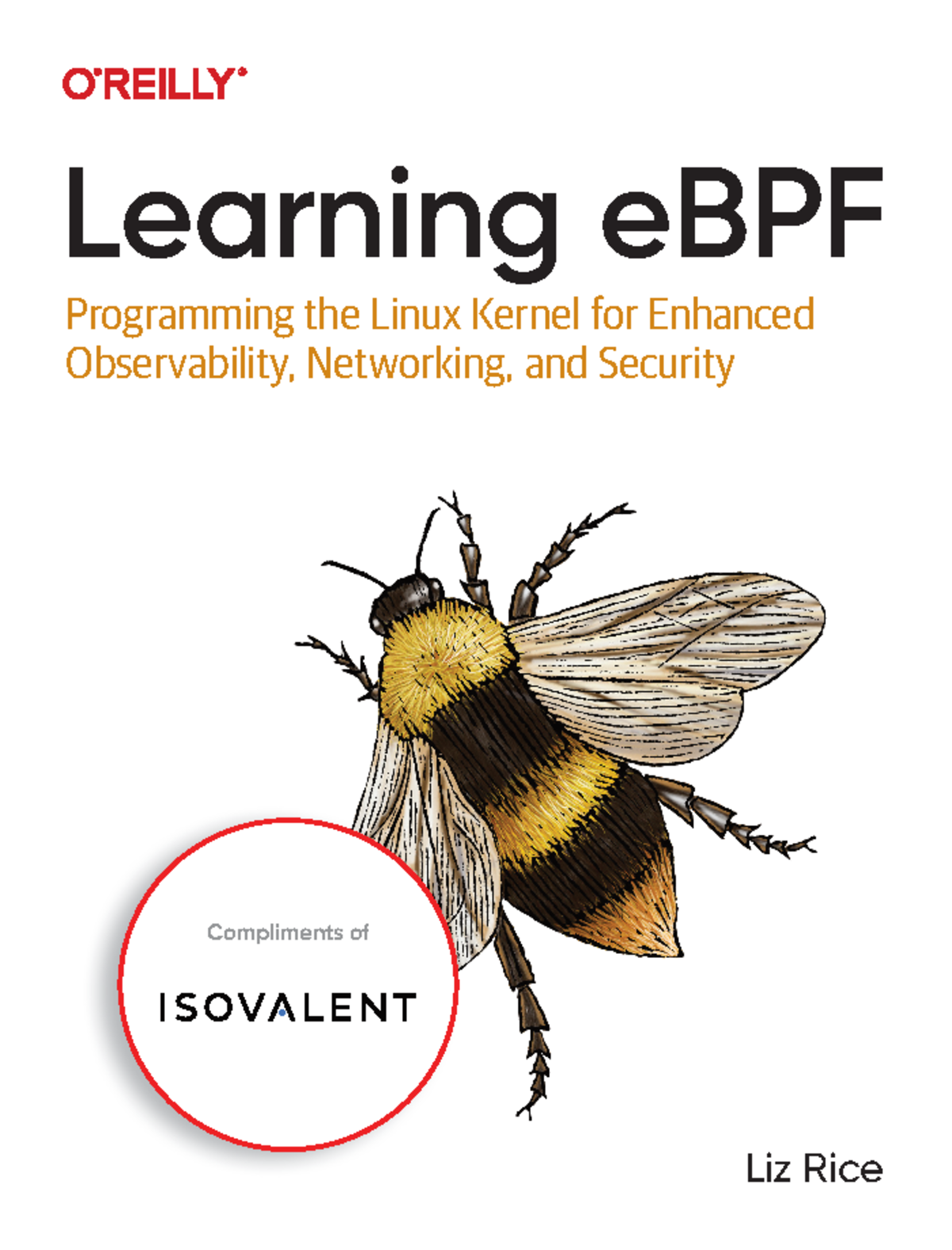 Learning-e BPF - Full book - Liz Rice Learning eBPF Programming the ...