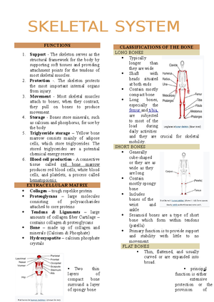Unit 2 Skeletal System - Block 1 Comparative Anatomy of Vertebrates-I ...
