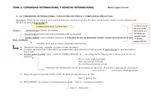 Esquema Tema 1 - La Comunidad Internacional Y El Derecho Internacional ...