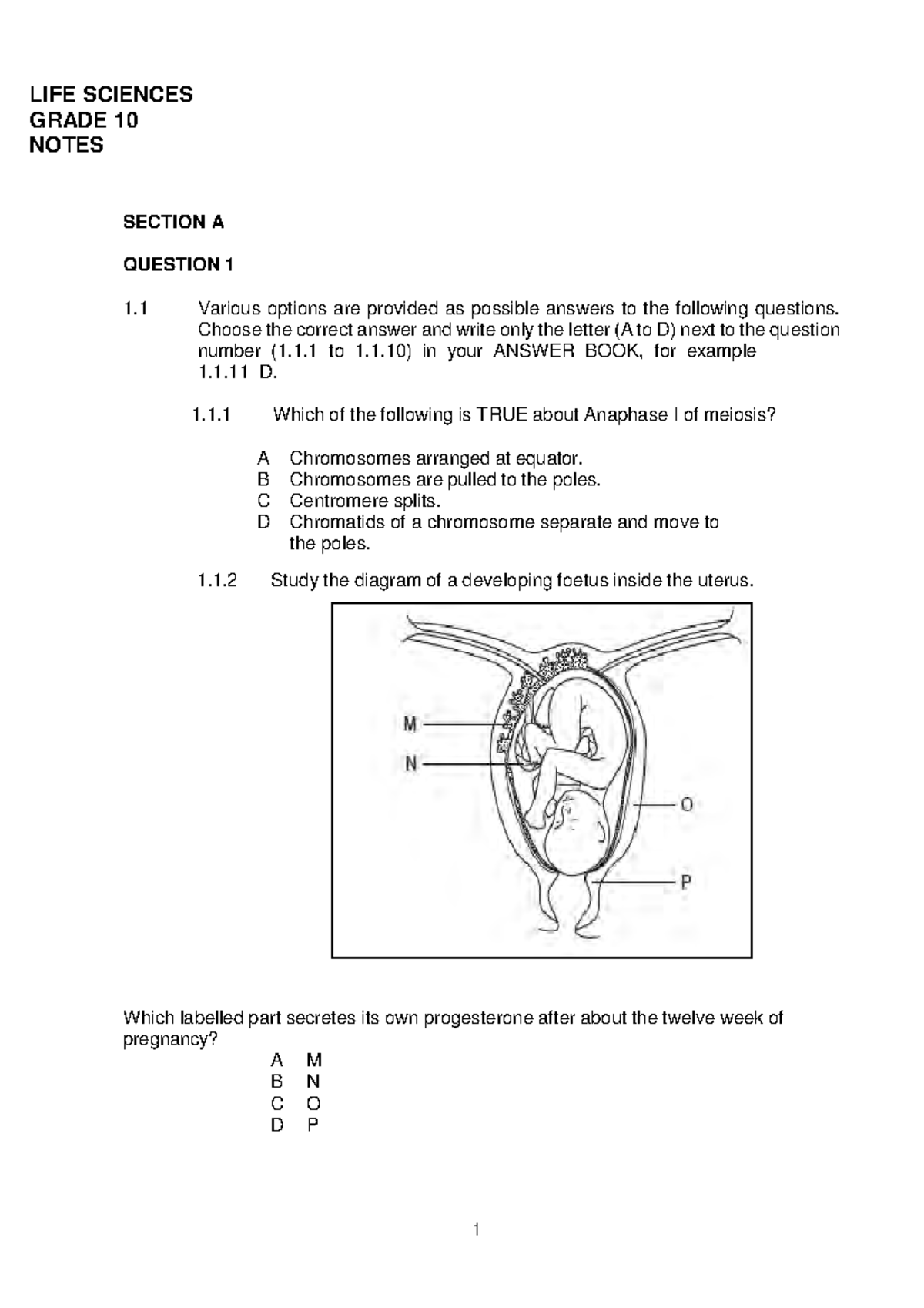 LIFE Sciences Grade 12 Notes - LIFE SCIENCES GRADE 10 NOTES SECTION A ...