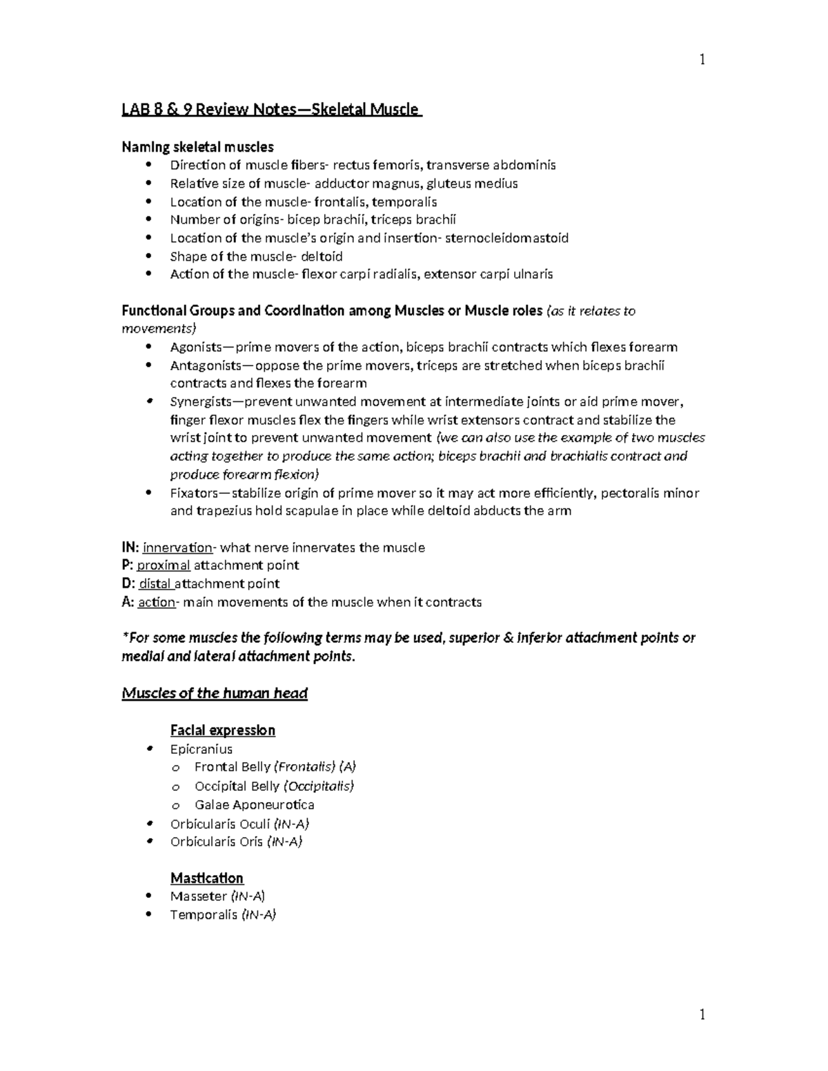 Lab 8 & 9 Review Notes Skeletal Muscle - LAB 8 & 9 Review Notes ...
