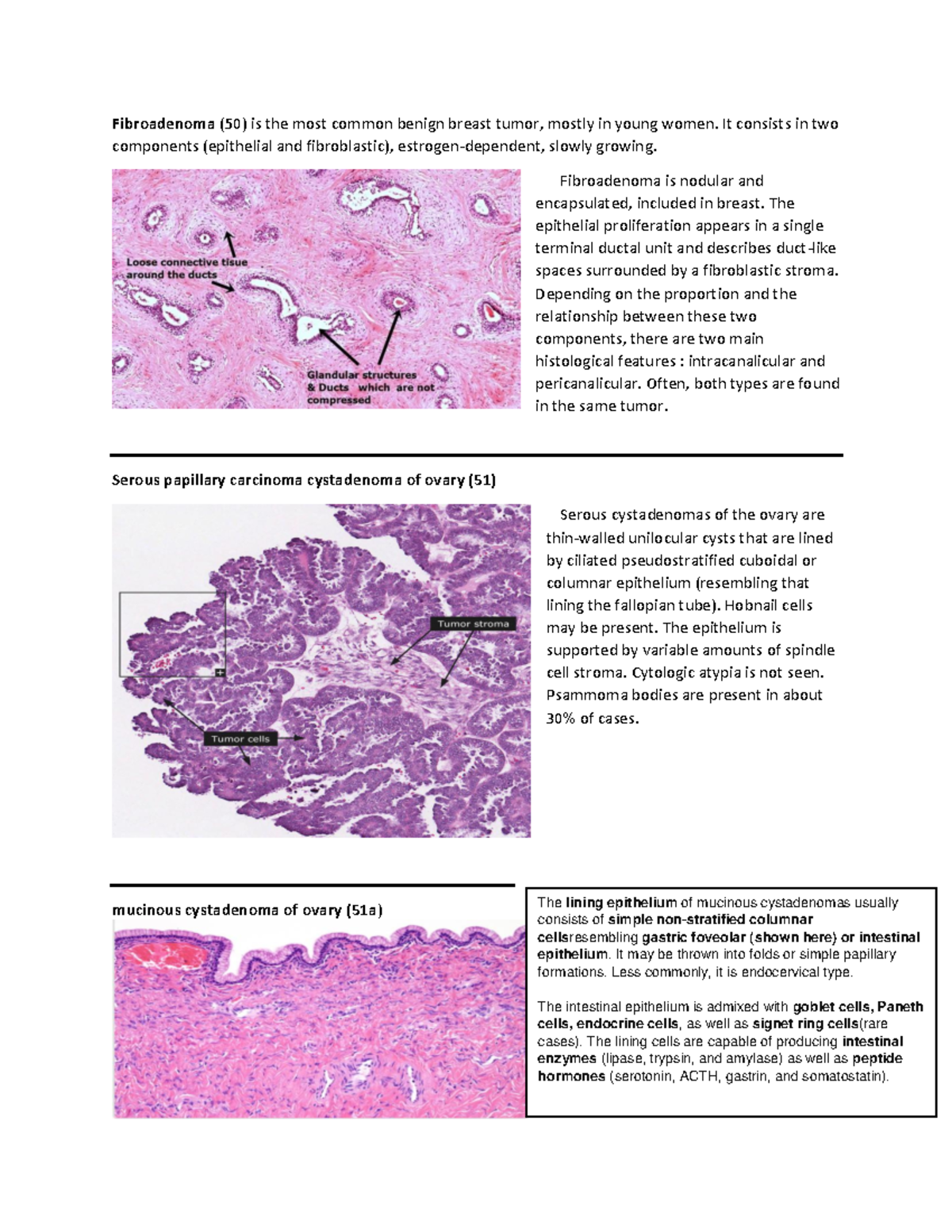 Pathoanatomy Slides 3rd year - Warning: TT: undefined function: 32 ...