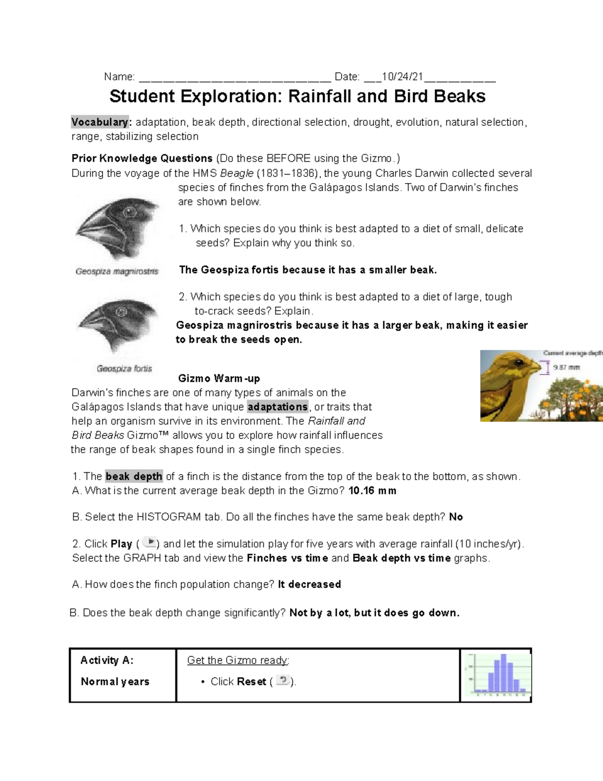 Rainfall Bird Beaks SE Environmental Science 2021 2022 Nov 2021