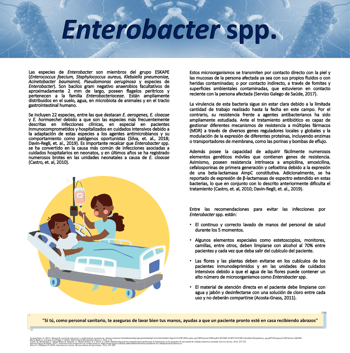Infografía Alma Subuyuj. Enterobacter spp - Las especies de ...