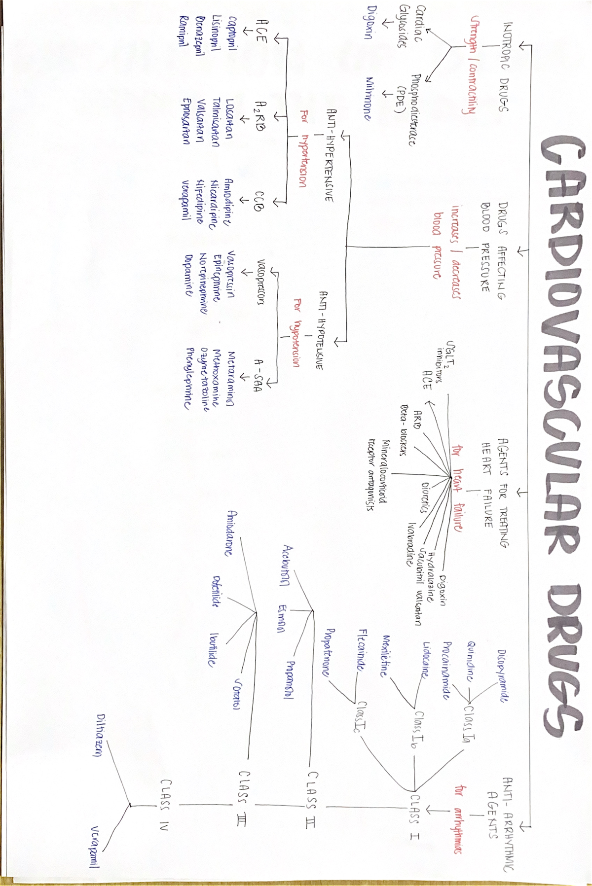 systems-and-notes-what-s-the-male-reproductive-system-the-male