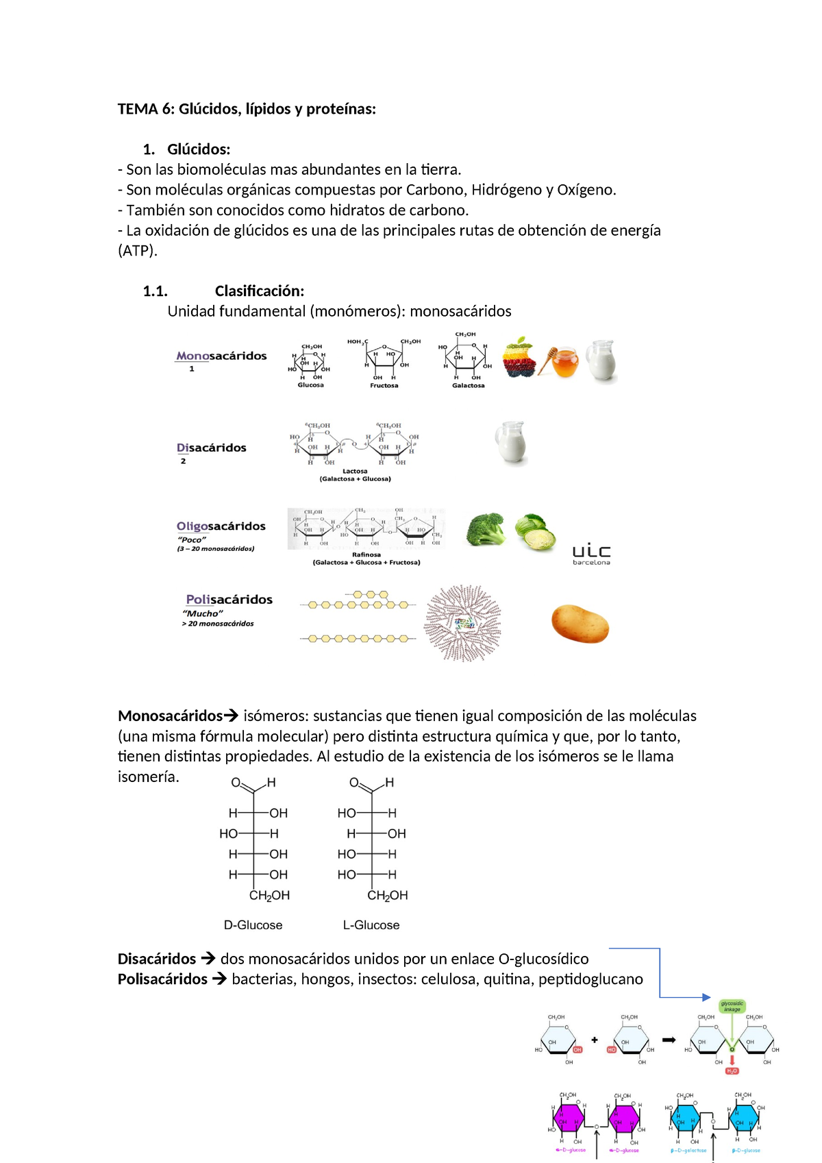 TEMA 6 - TEMA 6: Glúcidos, Lípidos Y Proteínas: 1. Glúcidos: Son Las ...