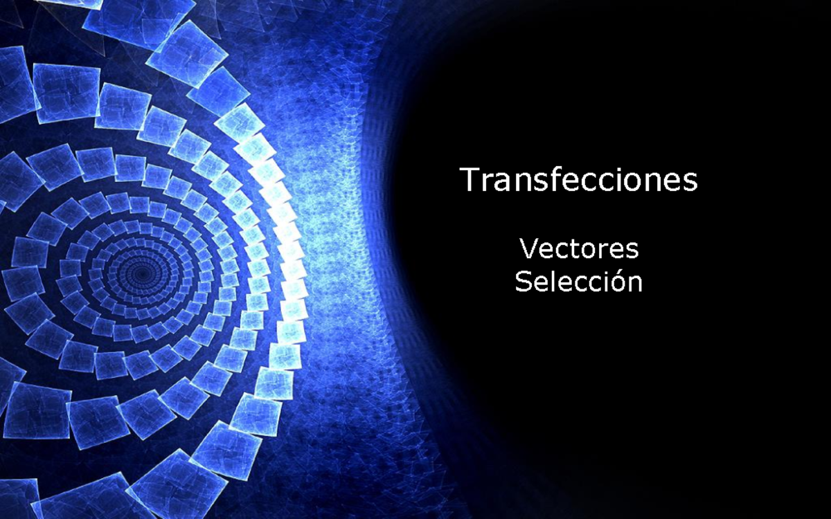 Transfecciones 2 AV - transfeccion - Transfecciones Vectores Selección ...