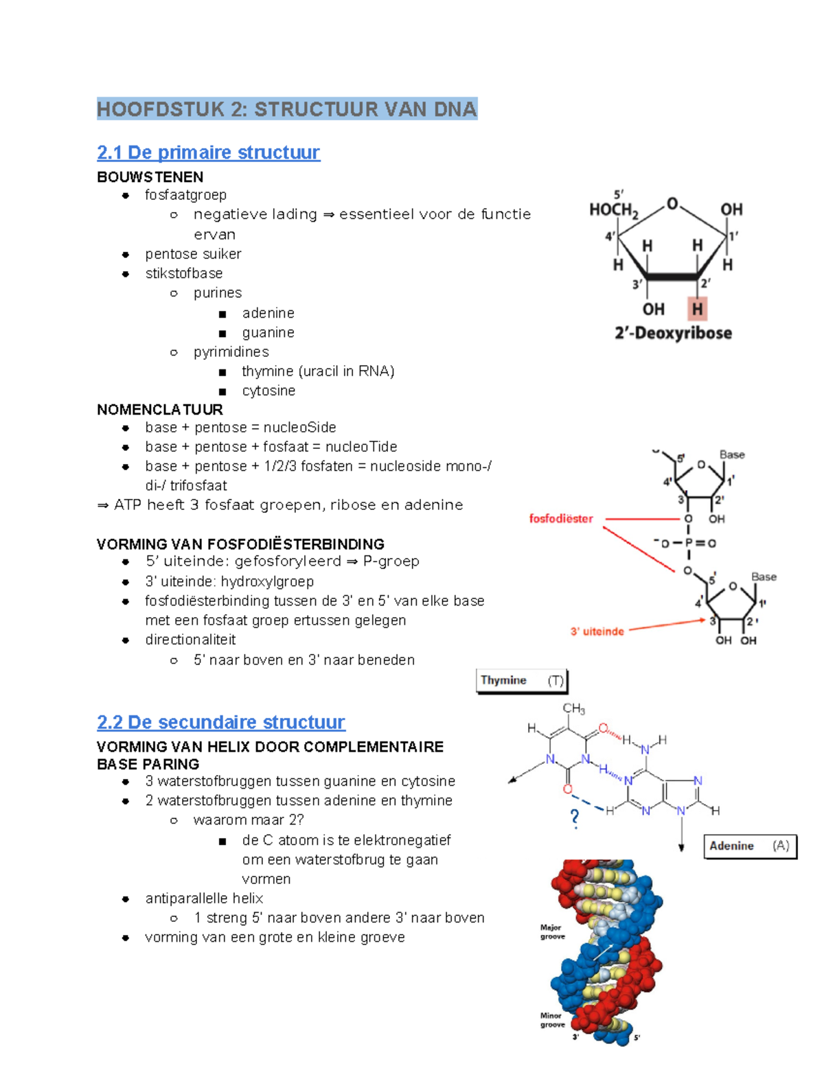 Cel IV Mobi H2 - Samenvatting Cel IV : Moleculaire Biologie En Genetica ...