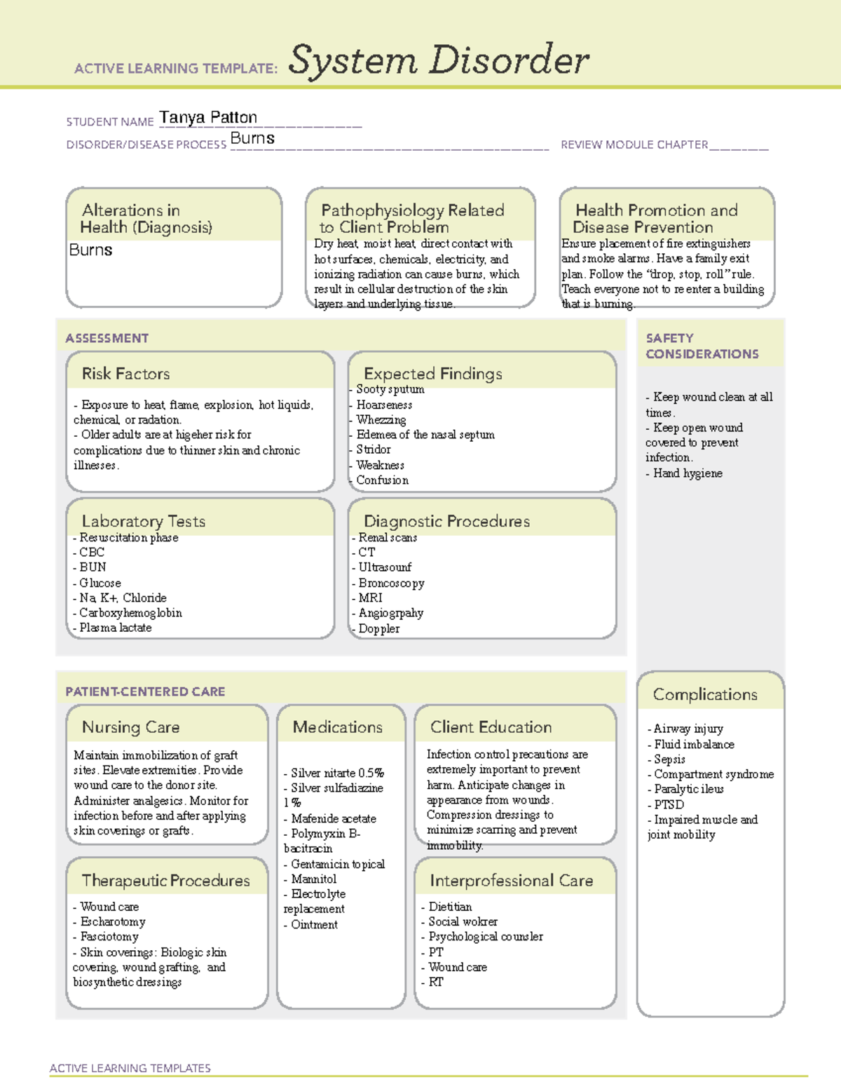 Burns - Exemplar - Active Learning Templates System Disorder Student 