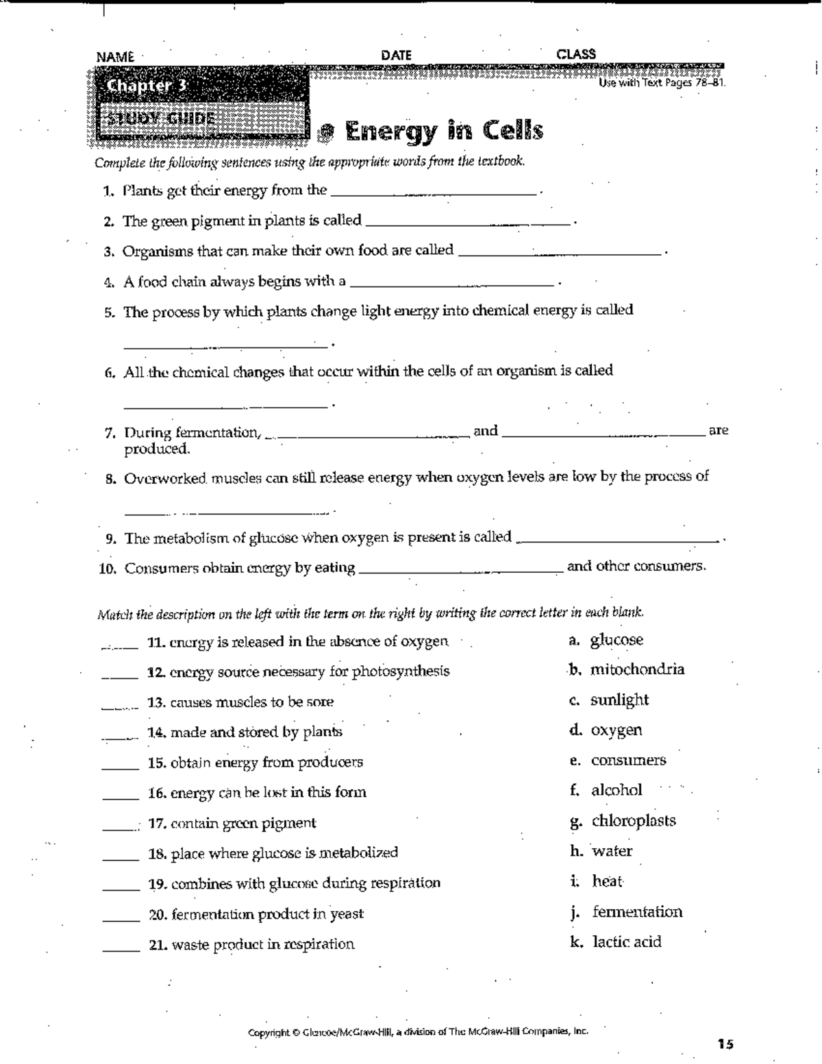 Review Worksheet -photosynthesis - NAME DATE CLASS Chapter 3 Use with ...