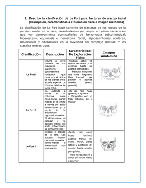 Músculos de la región glútea: origen, inervación y función