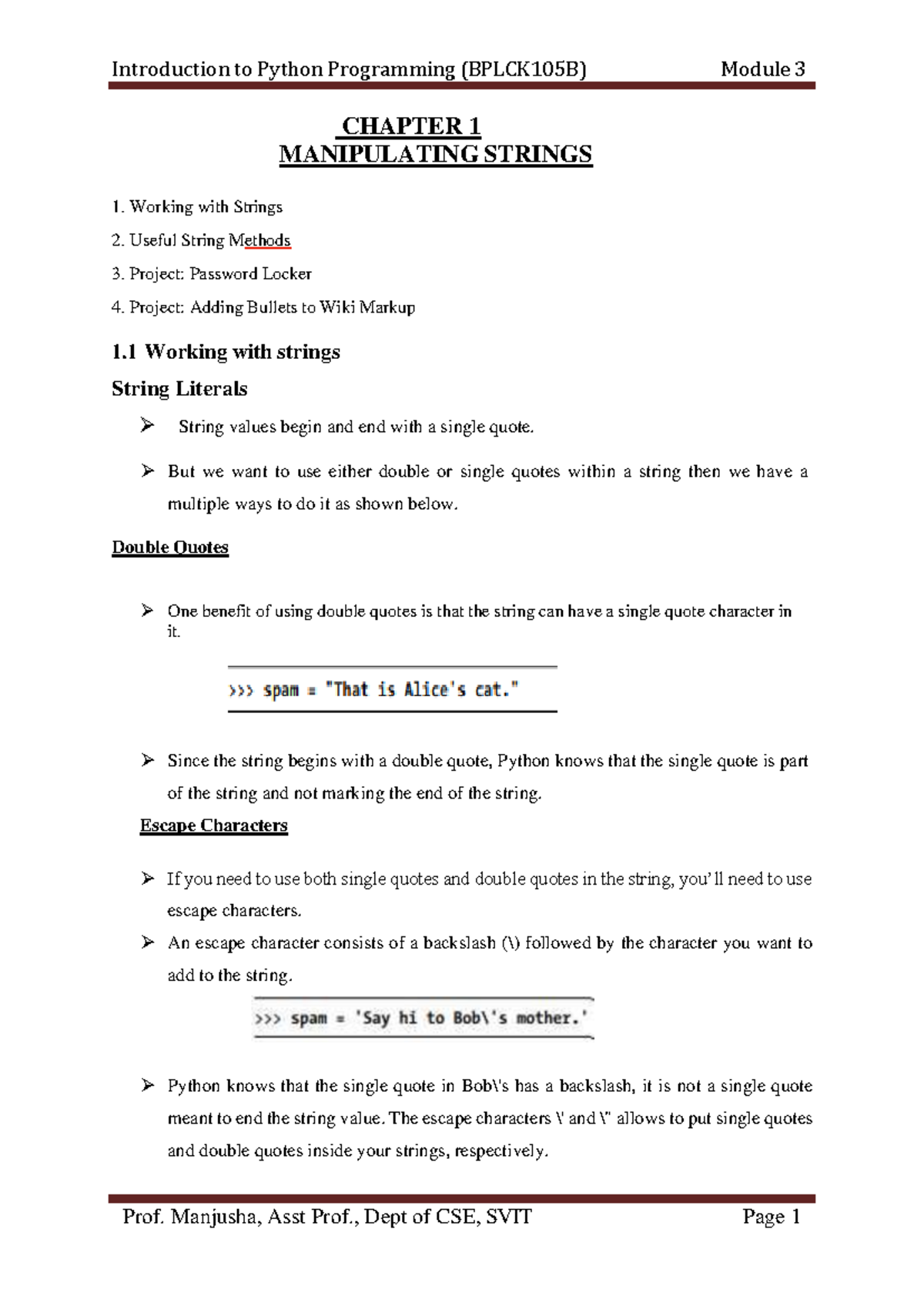 Python Module 3 copy - notes - CHAPTER 1 MANIPULATING STRINGS ####### 1 ...