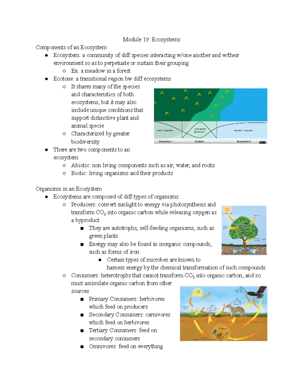 E Nvirsc 1C03- M19 Ecosystems - Module 19: Ecosystems Components of an ...