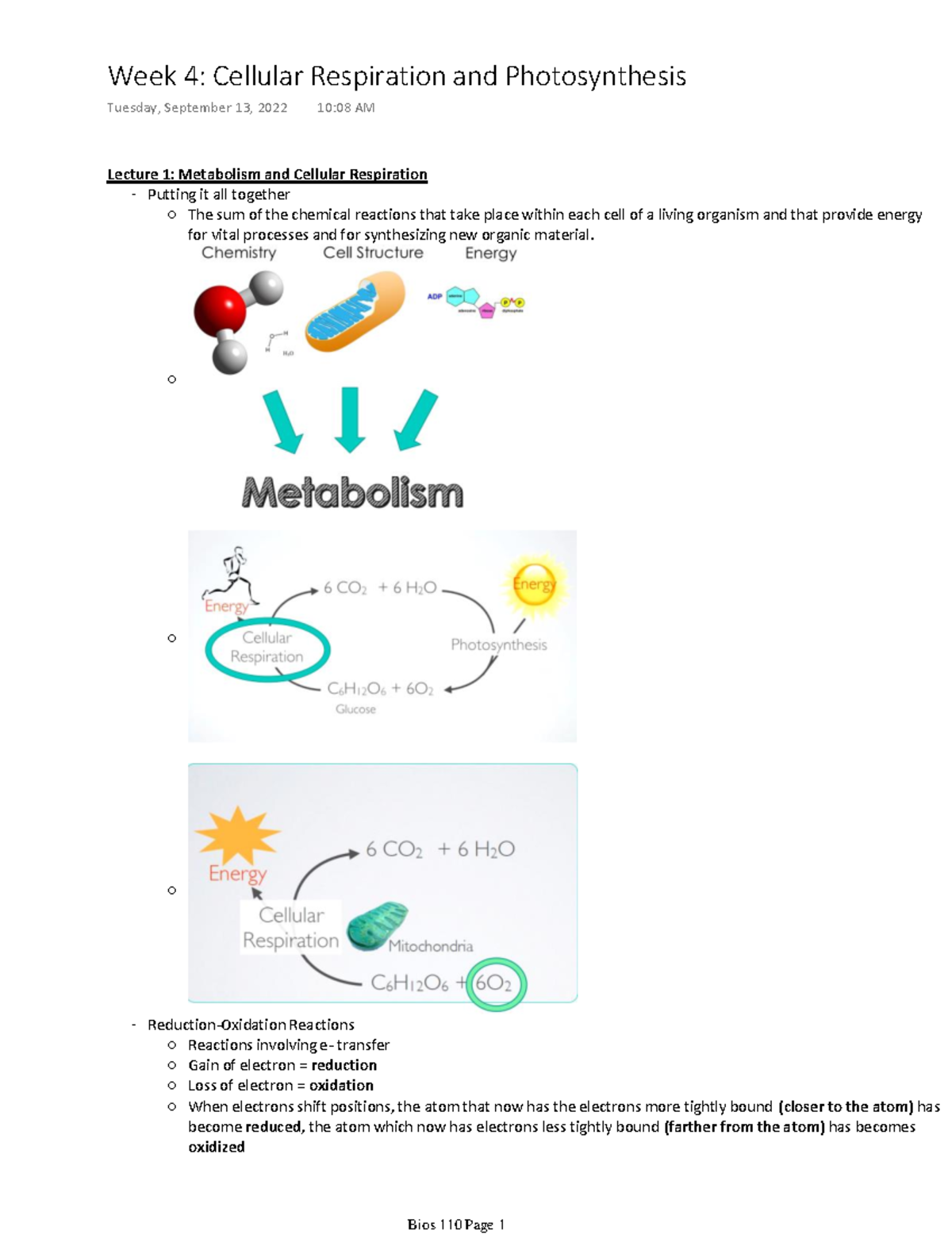 Bios 110 Week 4 pt 1 - Bios 110 Cells and Organism Notes - Lecture 1 ...