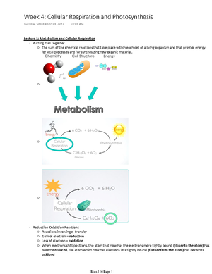 Bios 110 Week 8 pt 1 - Bios 110 Cells and Organism Notes - Lecture 1 ...