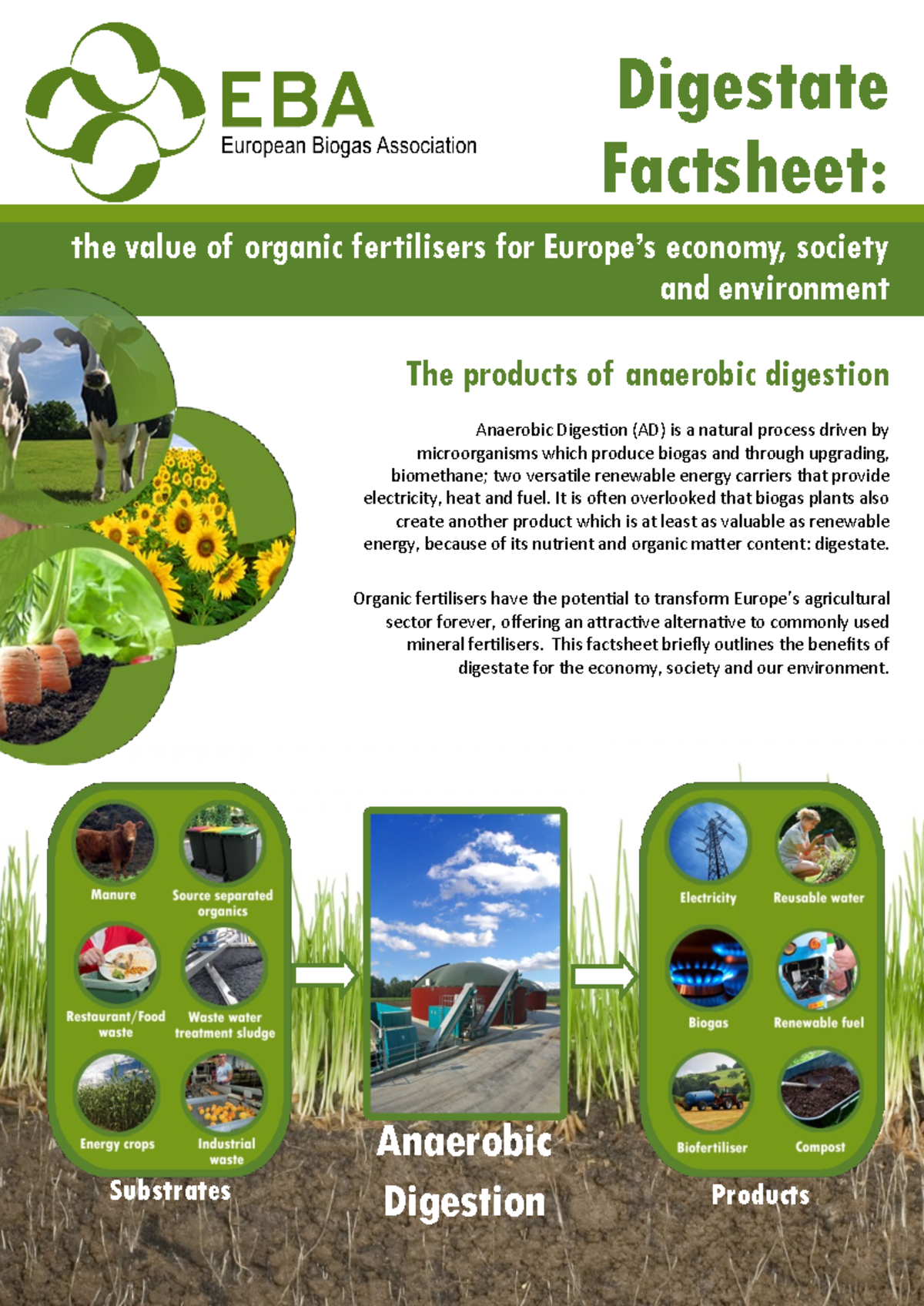 Digestate paper final 08072015 - The products of anaerobic digestion ...