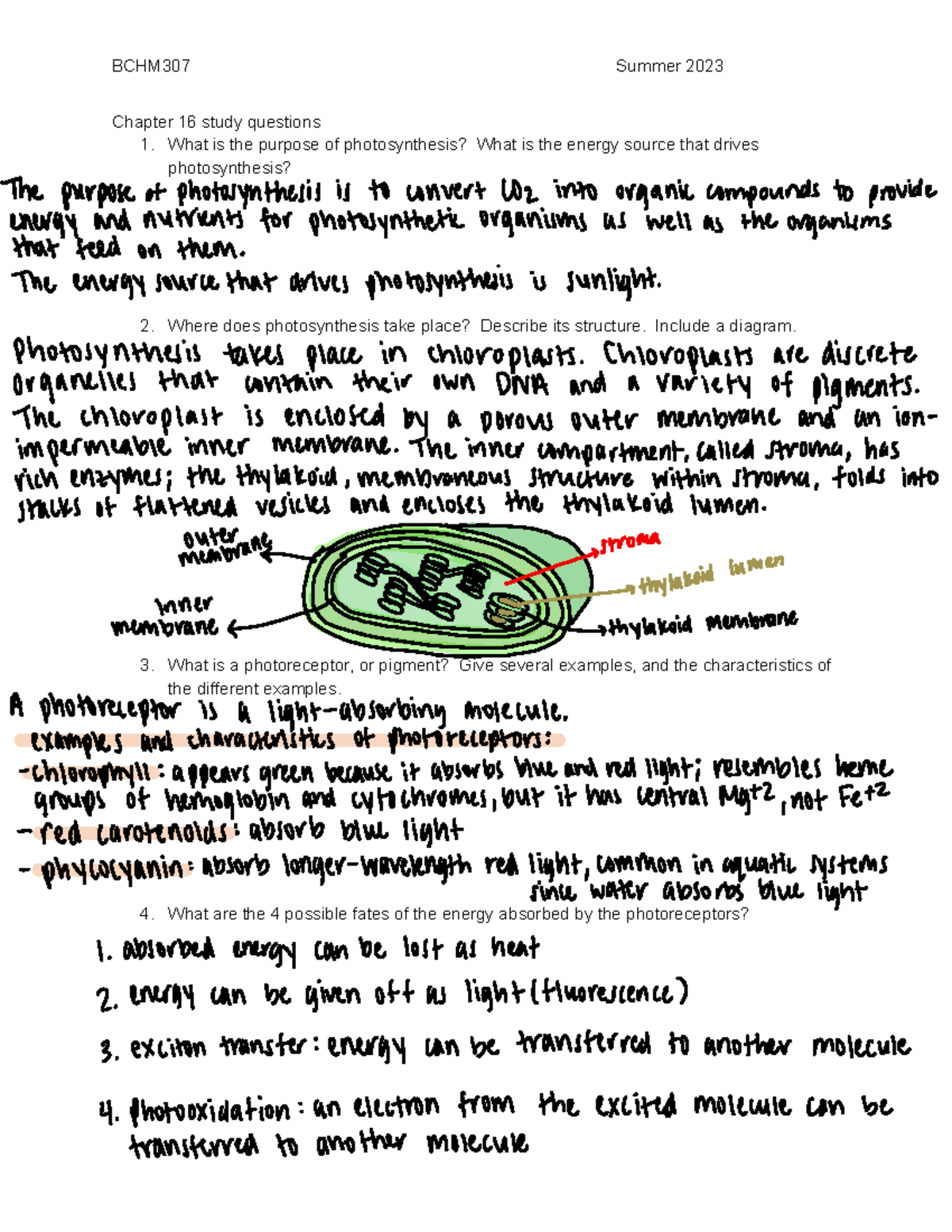 Ch. 16 SG - chapter 16 study guide - Chapter 16 study questions 1. What ...