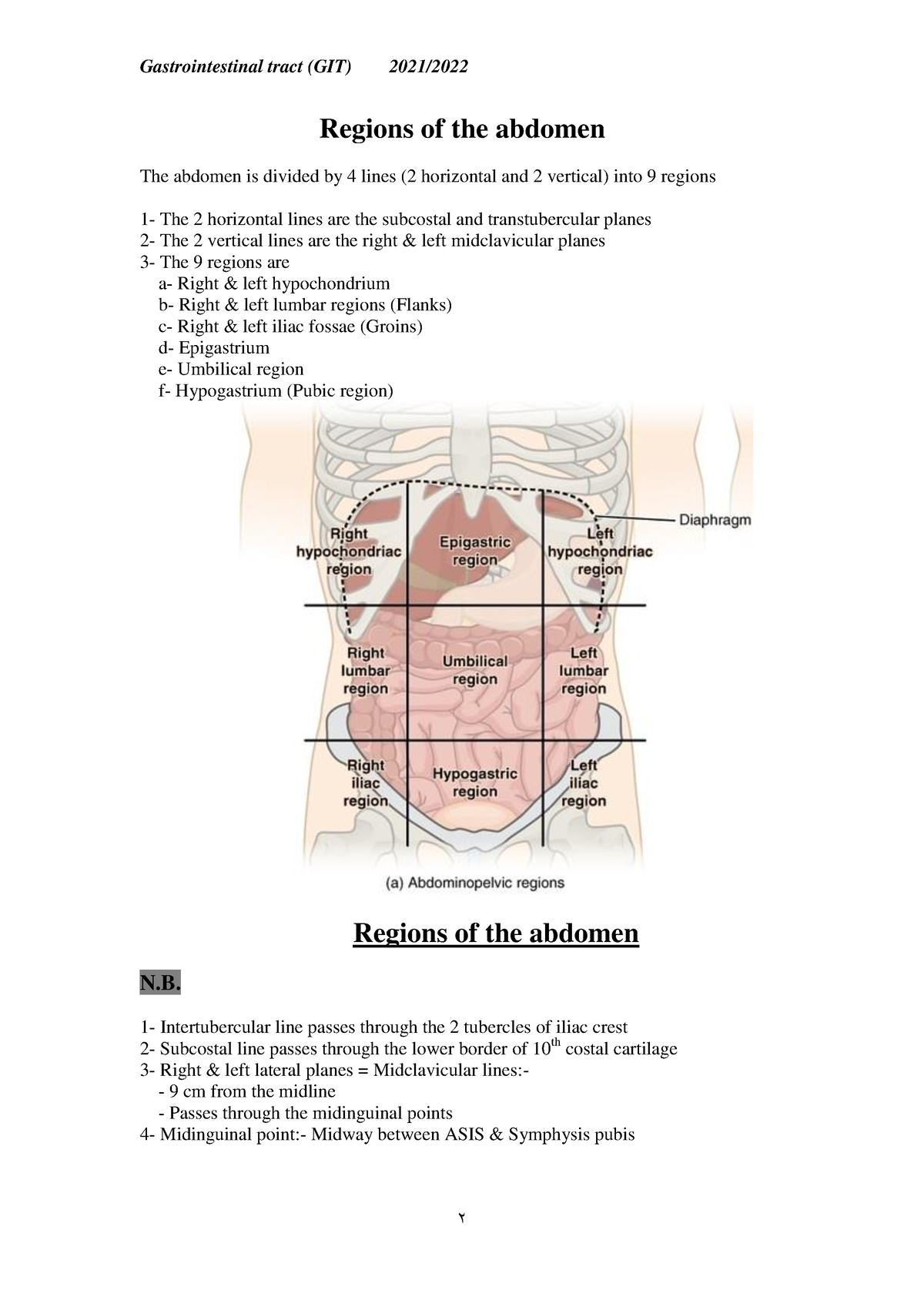 GIT anatomy-Abdomen - Abdominal GIT anatomy and its clinically ...