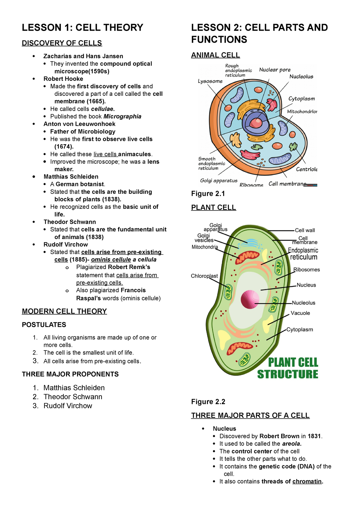 cells-haleo