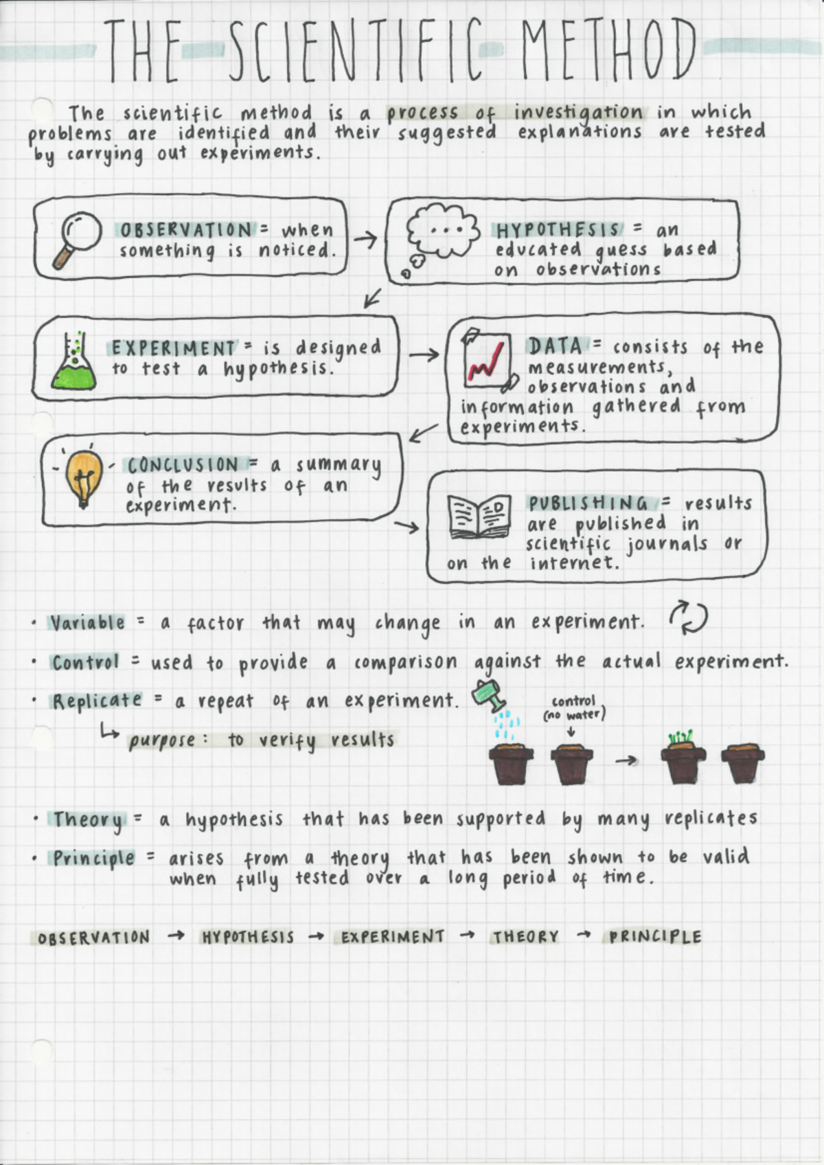 Scientific Method - THE SCIENTIFIC METHOD The scientific method is a ...