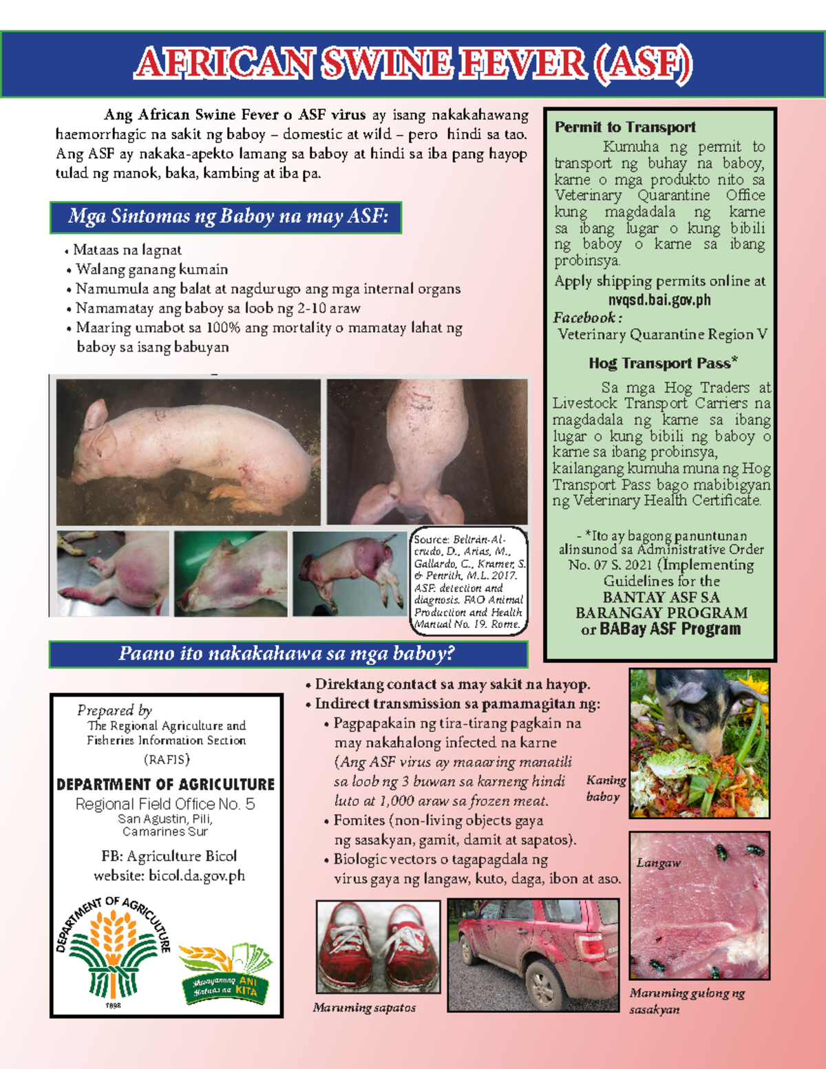 ASF Flyer 2021 DA revised - Ang African Swine Fever o ASF virus ay ...