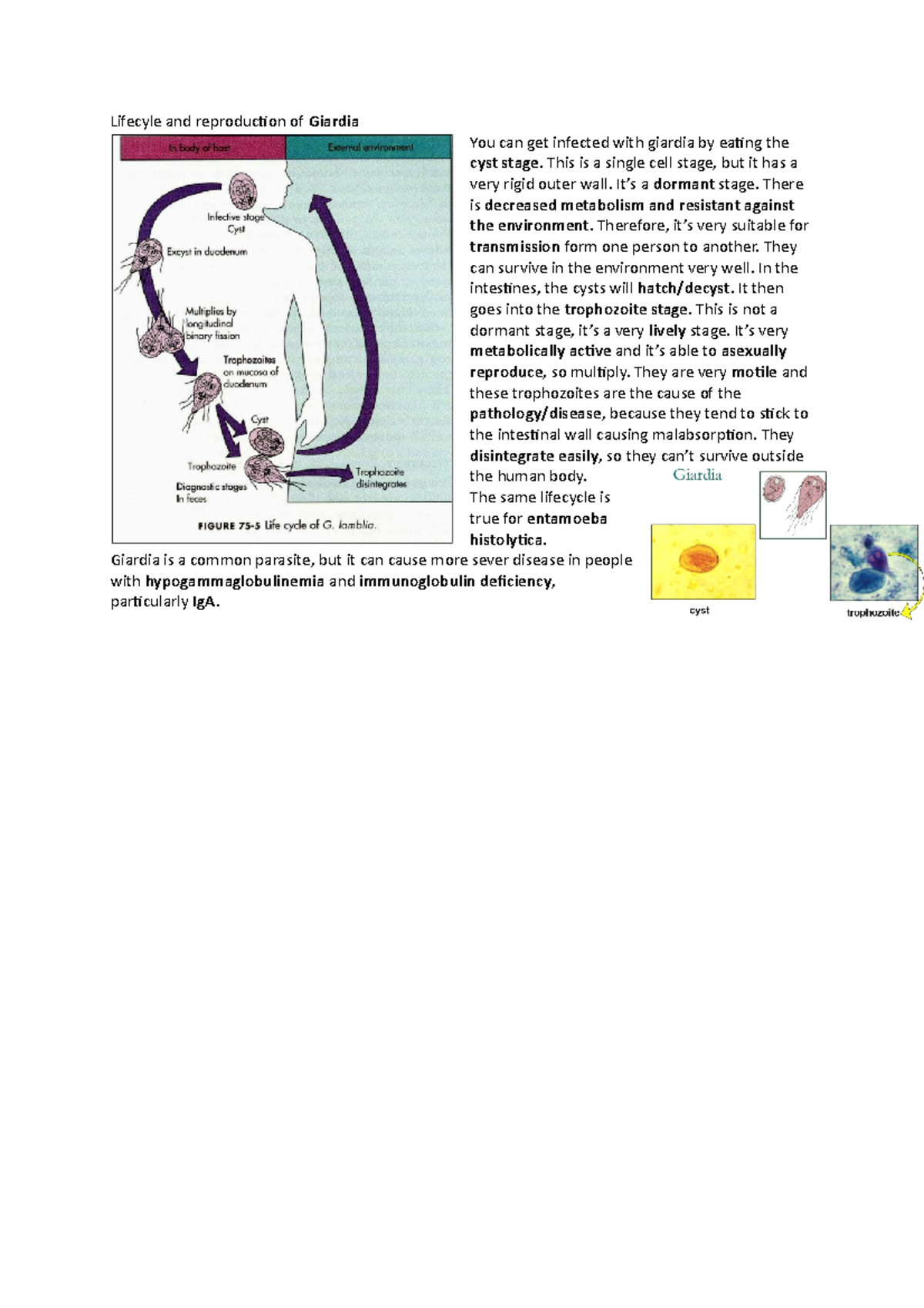Giardia lamblia Lifecyle and reproduction of Giardia You can get