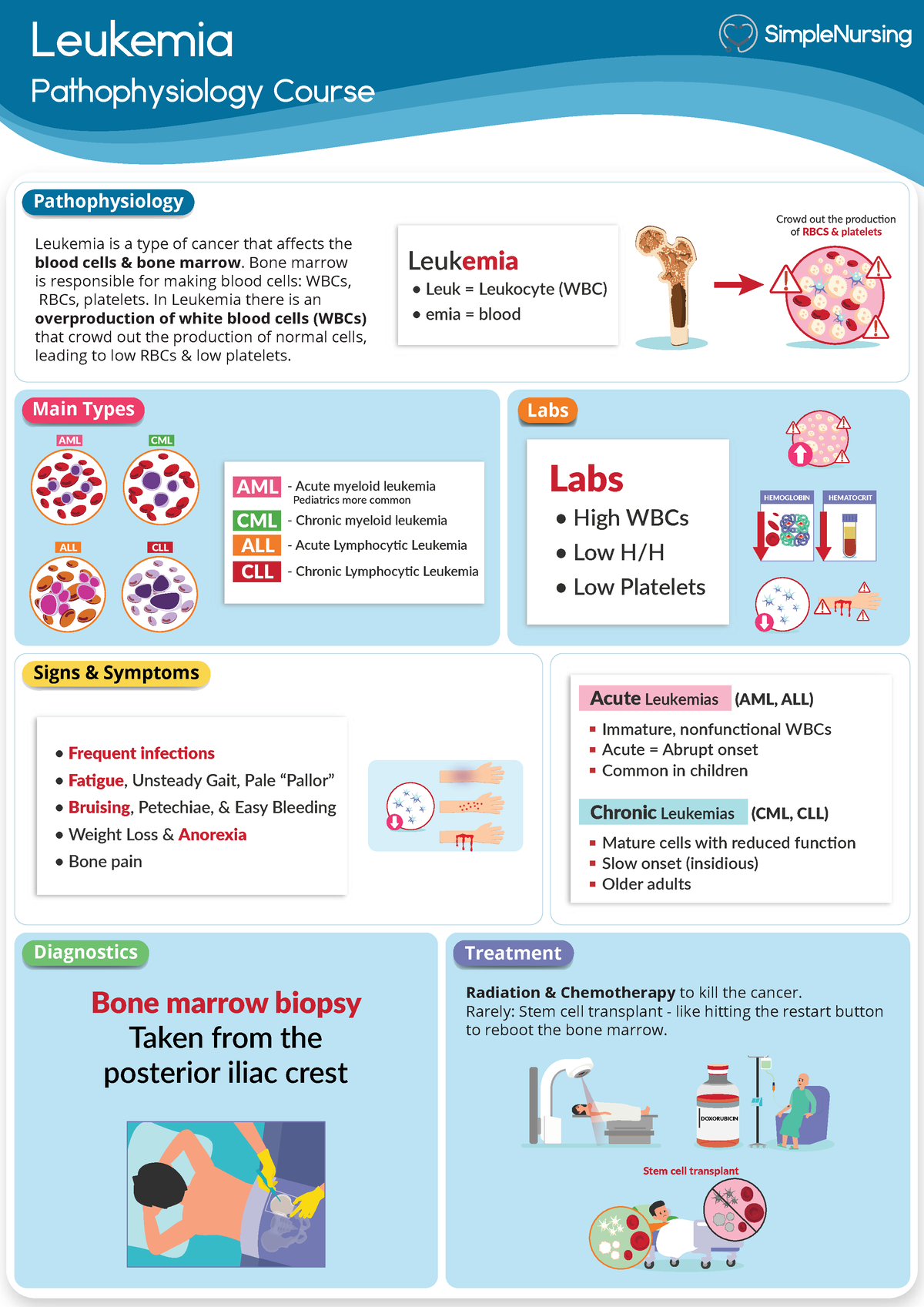 Leukemia 2 - Leukemia Pathophysiology Course Immature, Nonfunctional 