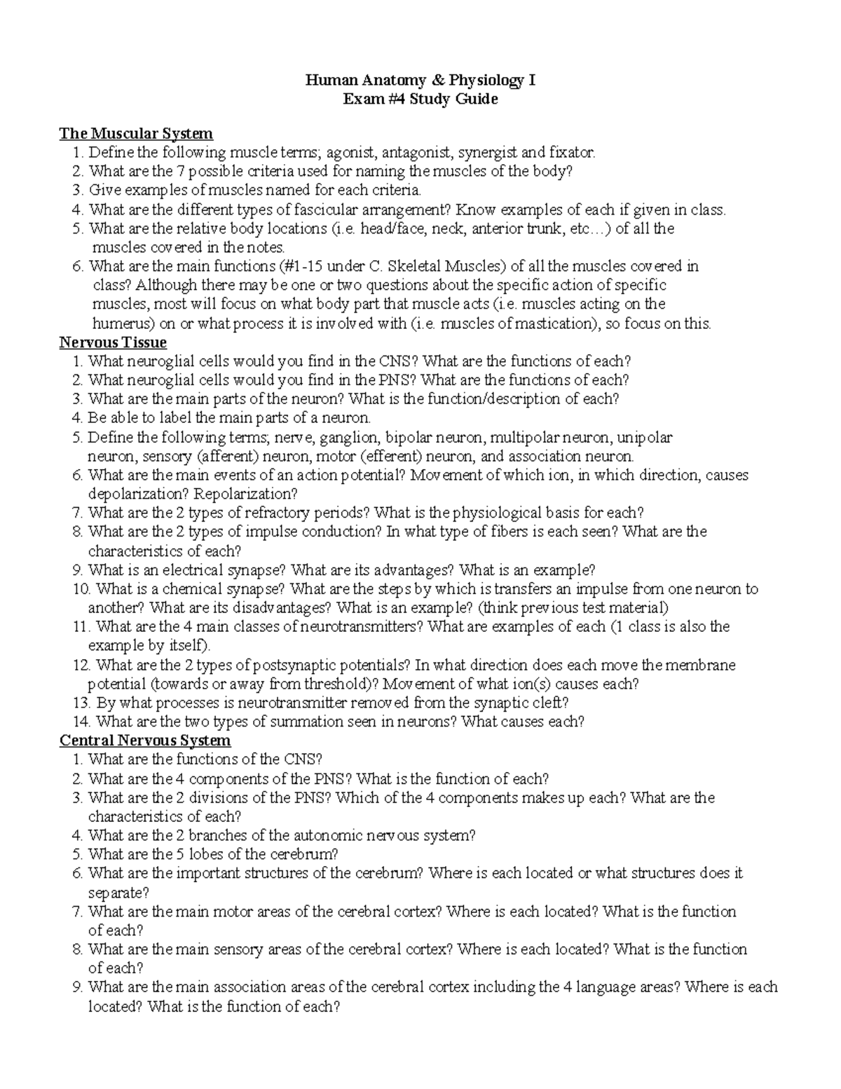 Exam 4 study guide - Human Anatomy & Physiology I Exam #4 Study Guide ...