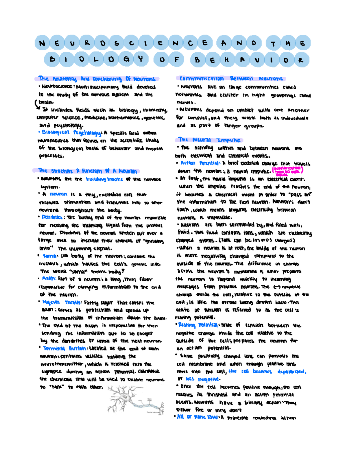 Chapter 2 neuroscience and biology of behavior - N E U R O S C I E N C ...