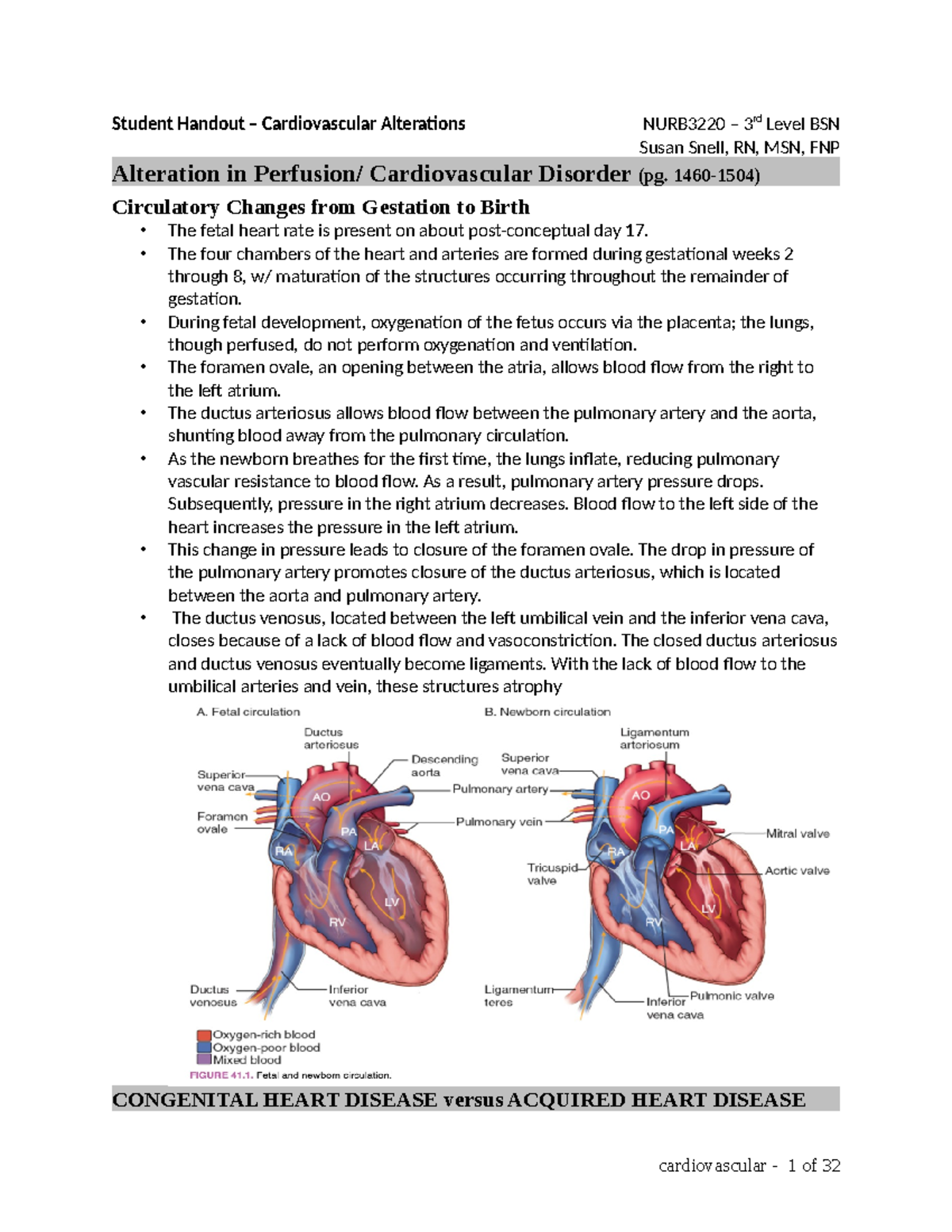 Cardiovascular Alteration - 1460-1504) Circulatory Changes from ...