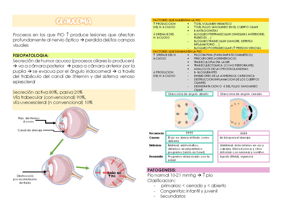 Oftalmo 2 - Anato - GLAUCOMA Procesos en los que PIO produce lesiones ...