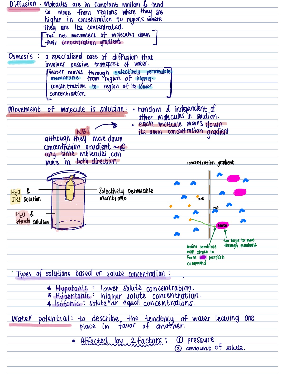 Osmosis - Diffusion Molecules Are In Constantmotion Tend To Move From 