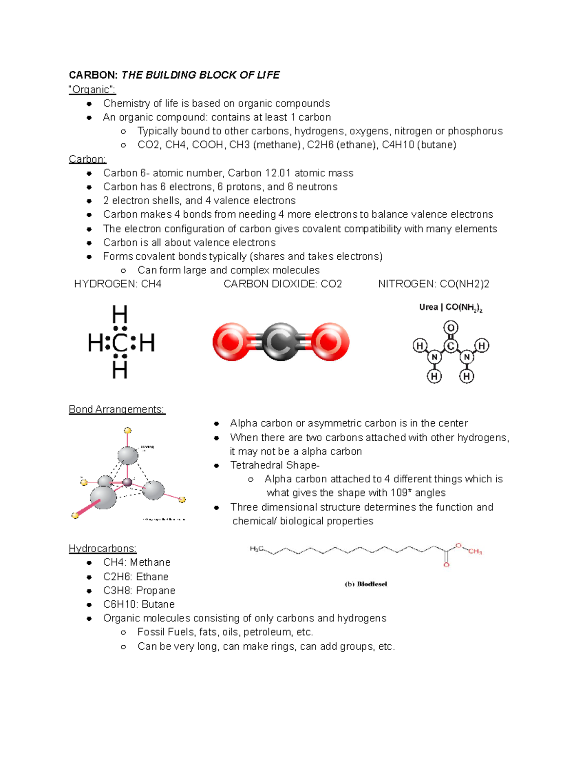 Bio Chapter 4- Carbon - CARBON: THE BUILDING BLOCK OF LIFE “Organic ...