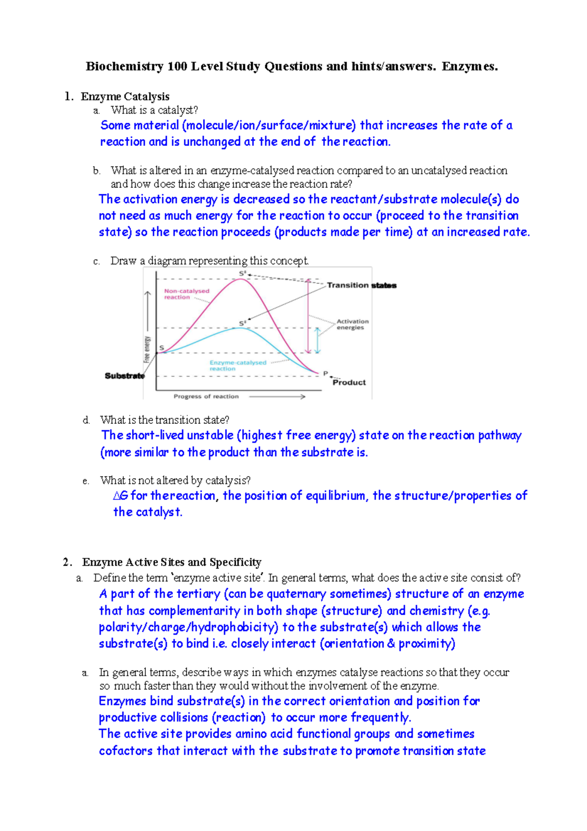 critical thinking questions about enzymes