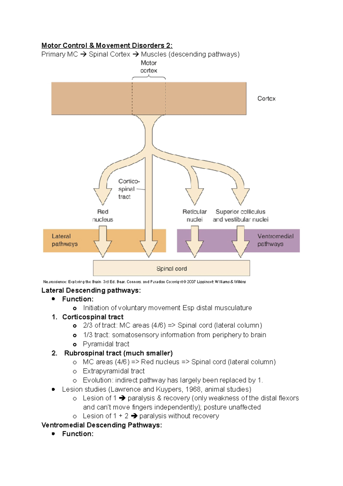L12 Motor Control & Movement Disorders 2 - Motor Control & Movement ...