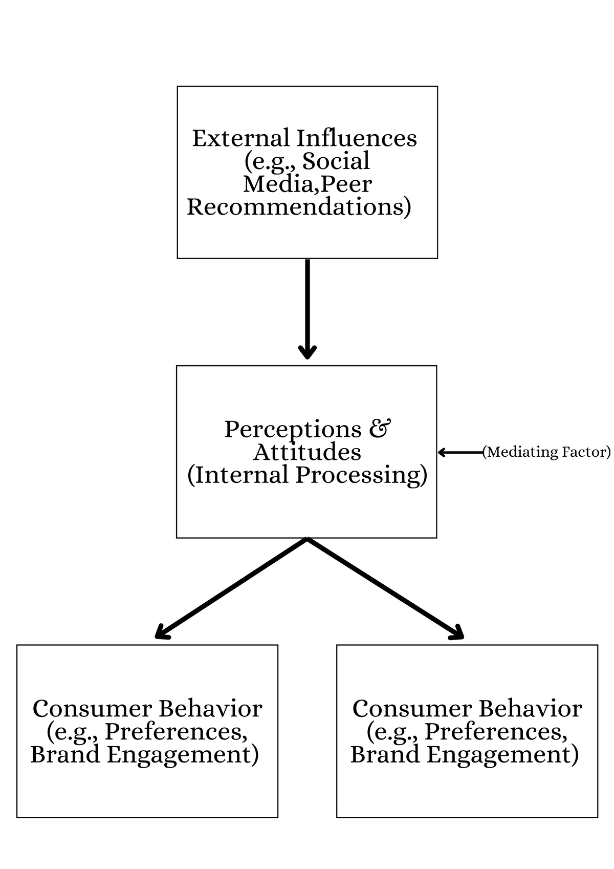 External Influences (e.g., Social Media, Peer Recommendations) 20241126 ...