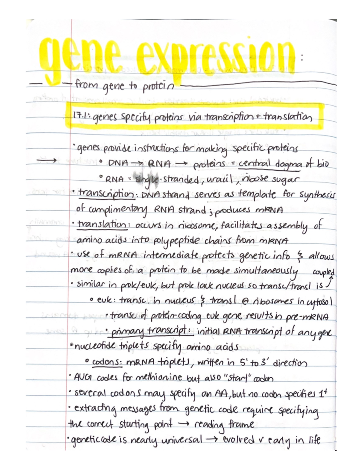 Ch 17 Gene Expression - Studocu