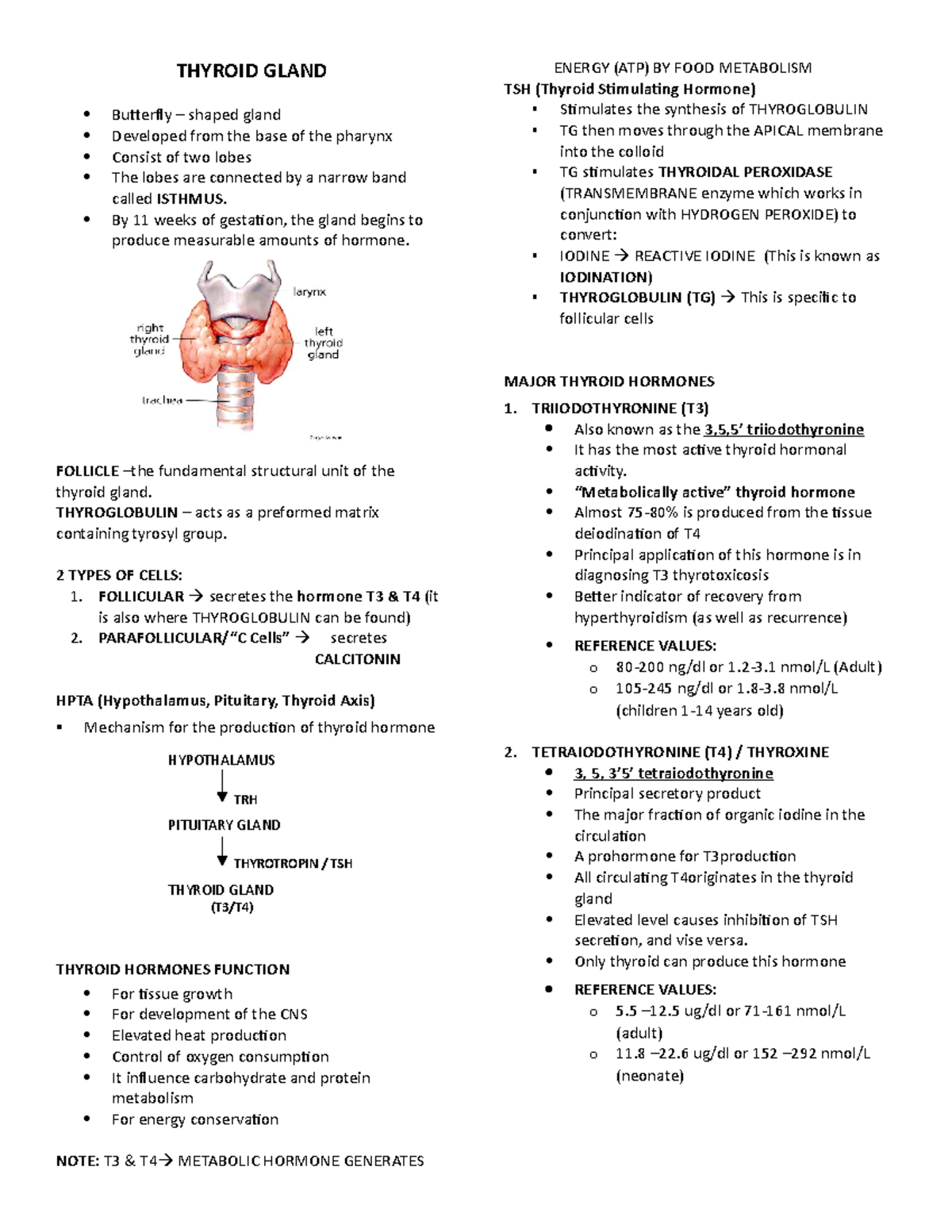 2 Thyroid- Gland-1 - Extracted from lectures and classes of Sir Mark ...