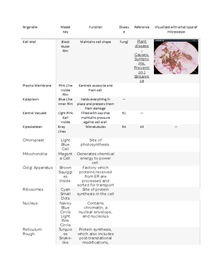 biological astronaut assignment