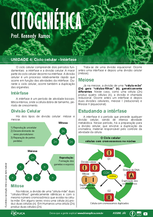 Bioexplica - Kennedy Ramos - Antes da célula começar a divisão celular  (mitose), ela passa por um período de crescimento, chamado interfase. A  interfase pode ser dividia em: Período G1: maior crescimento