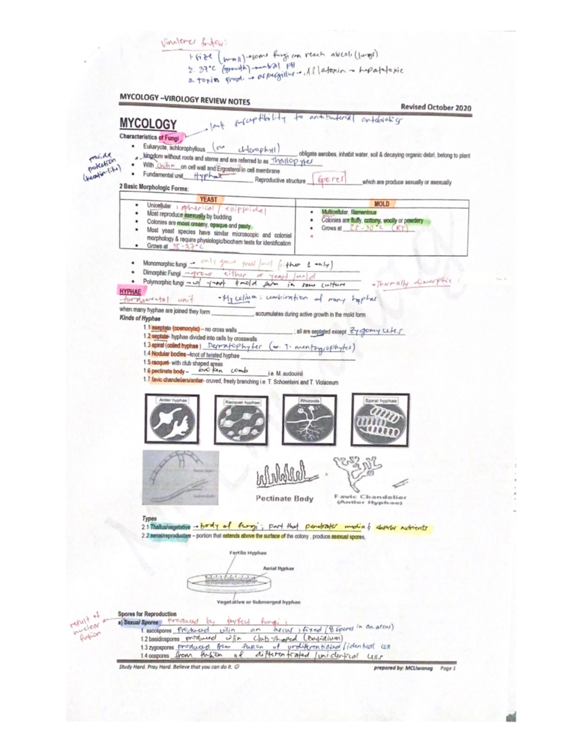 Mycology - Virology Review Notes - Medical Laboratory Science - Studocu