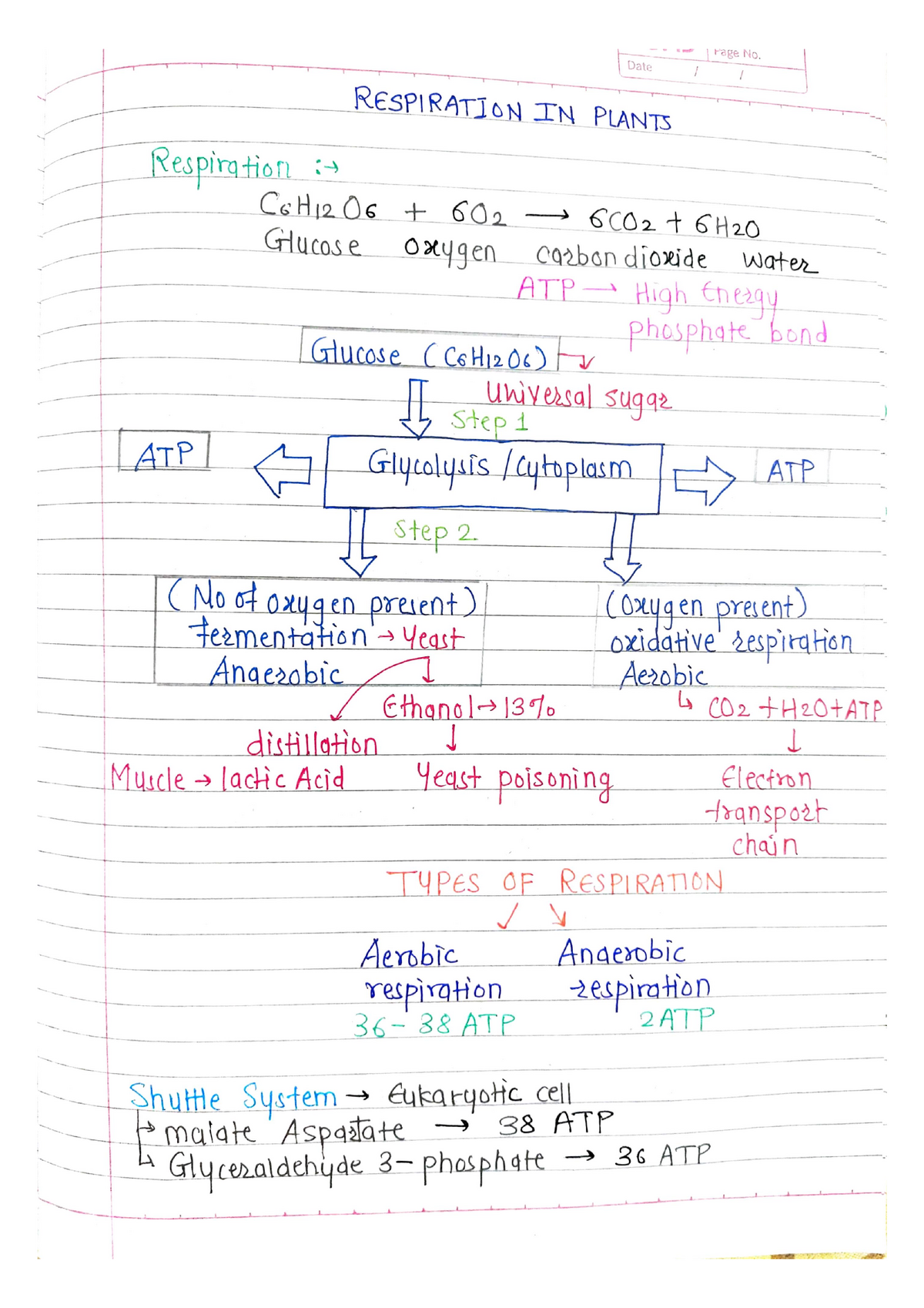 respiration-in-plants-handwriting-notes-4py019-studocu