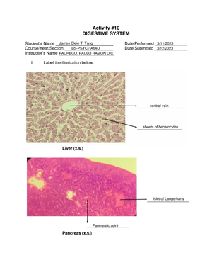 Froguts-Dissection-Guide - Introduction Frog eyes Nares — nostrils ...