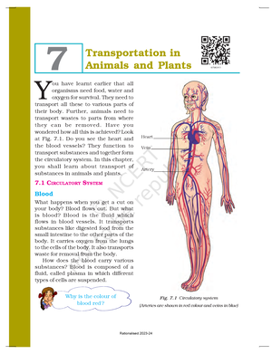 Ncert textbook for class 7 science chapter 13 - 156 SCIENCE 13 ...