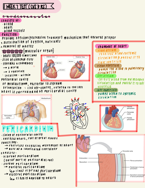 HS1220-ICA Instructions 2023S2 (for students) - SCHOOL OF HEALTH AND ...