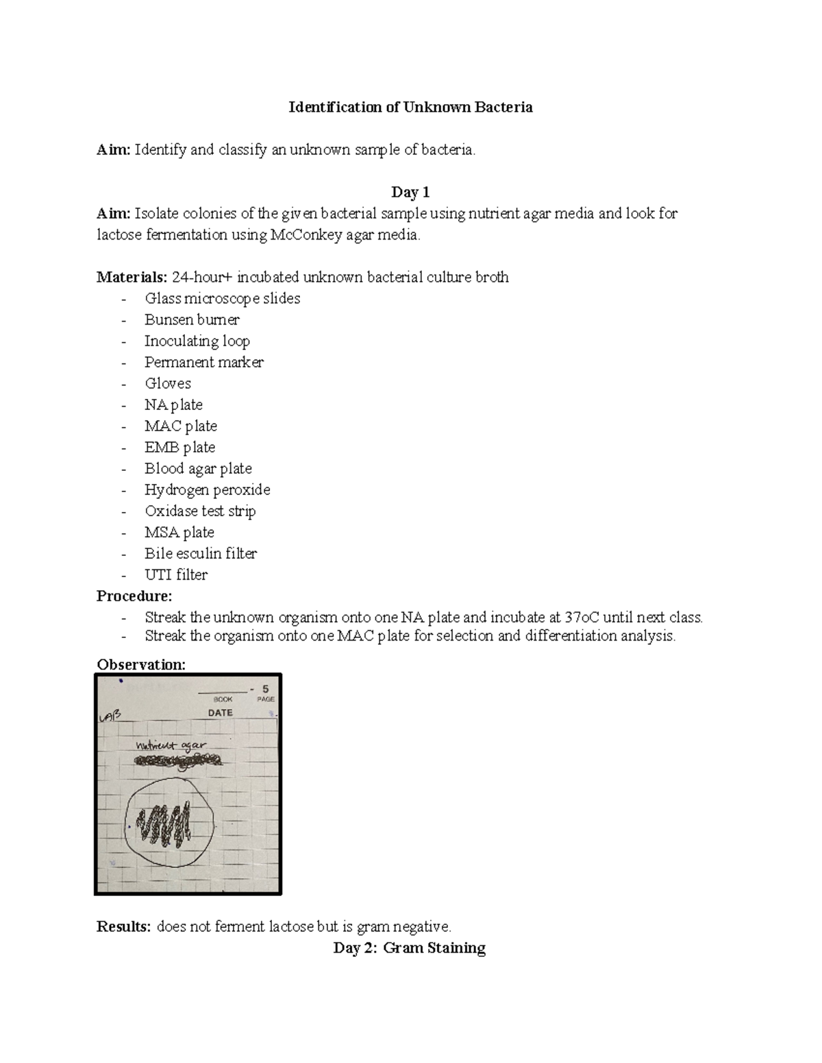 Unknown Bacteria Identification Of Unknown Bacteria Aim Identify And 