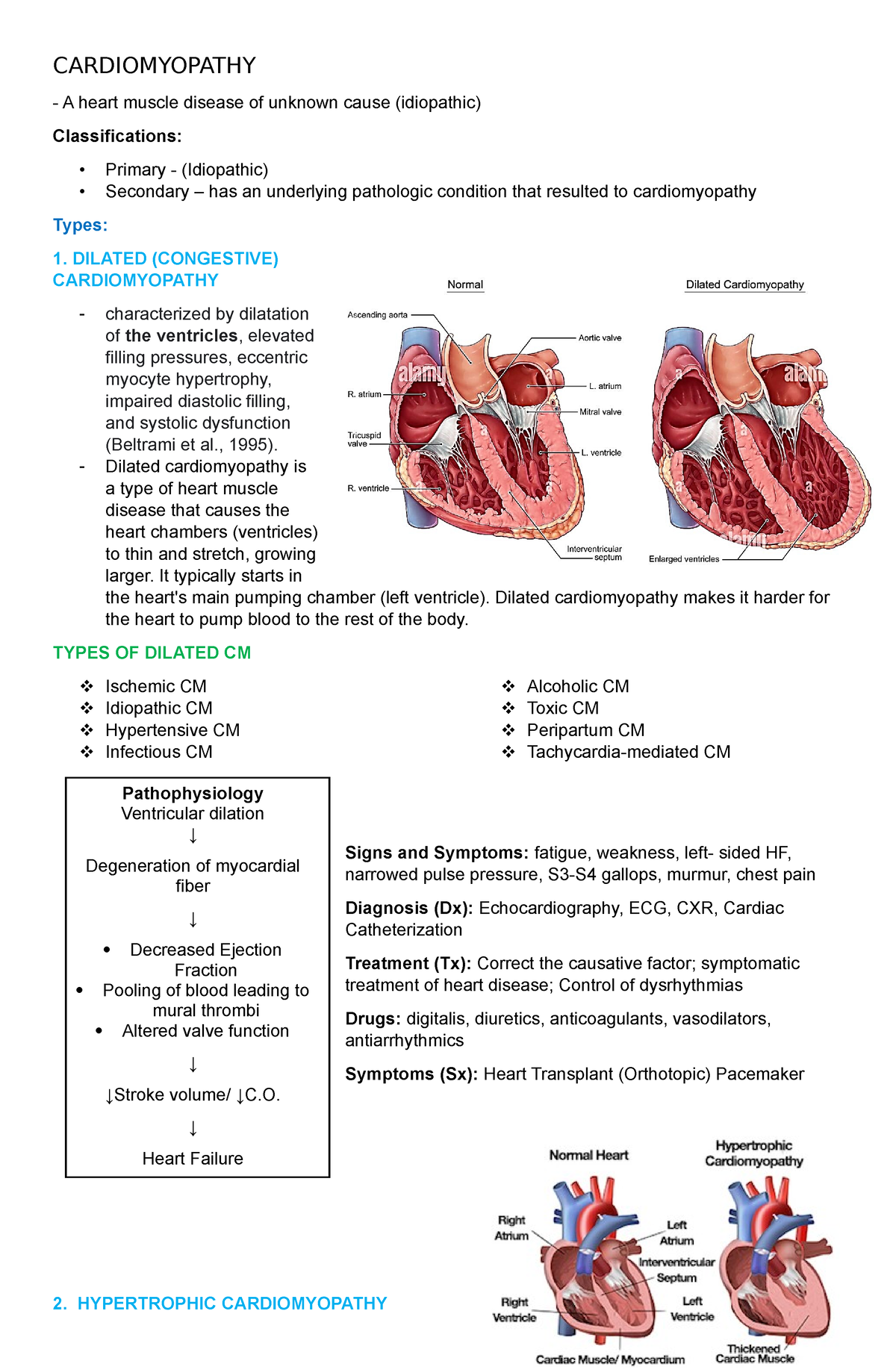 Cardiomyopathy - Notes - Cardiomyopathy A Heart Muscle Disease Of 